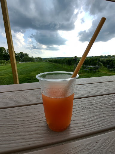 Winery «Rockside Winery and Vineyards», reviews and photos, 2363 Lancaster-Newark Rd NE, Lancaster, OH 43130, USA