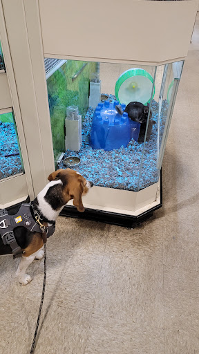 Pet Supply Store «PetSmart», reviews and photos, 2818 S Louise Ave, Sioux Falls, SD 57106, USA