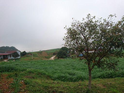 Top 17 cửa hàng brother Huyện Mộc Châu Sơn La 2022