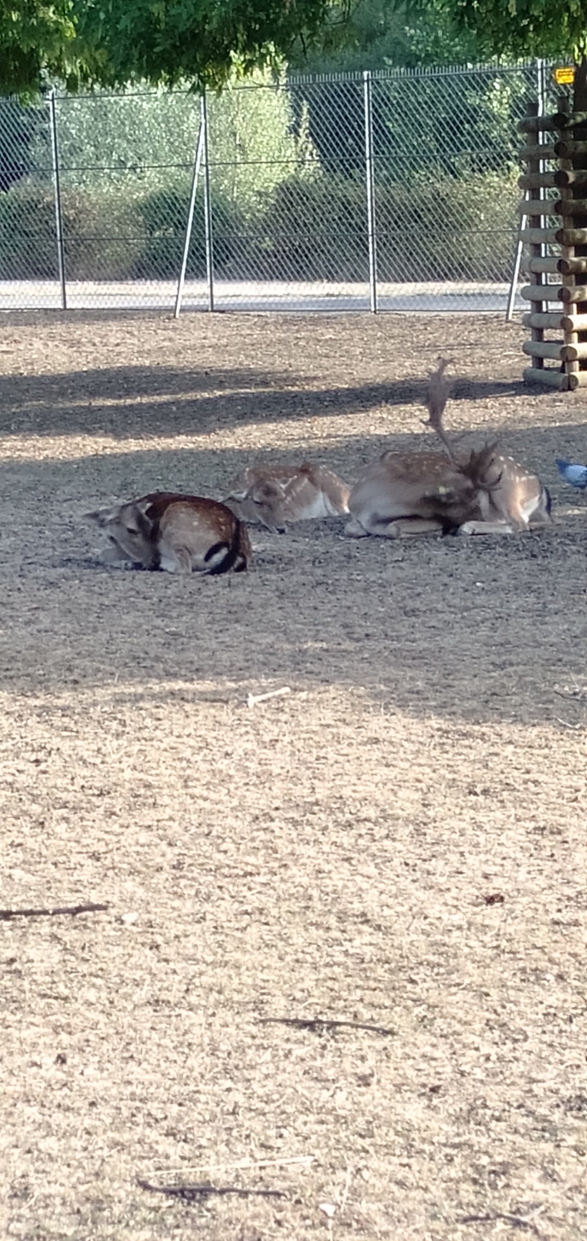 Photo n° 7 de l'avis de M-E. fait le 17/08/2020 à 16:55