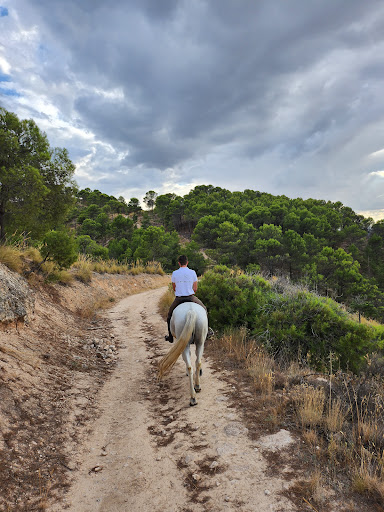 Hípica la Herradura en Albalate de Zorita, Guadalajara
