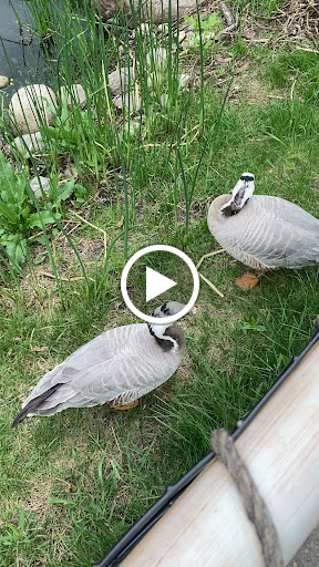 Zoo «Red River Zoo», reviews and photos, 4255 23rd Ave S, Fargo, ND 58104, USA