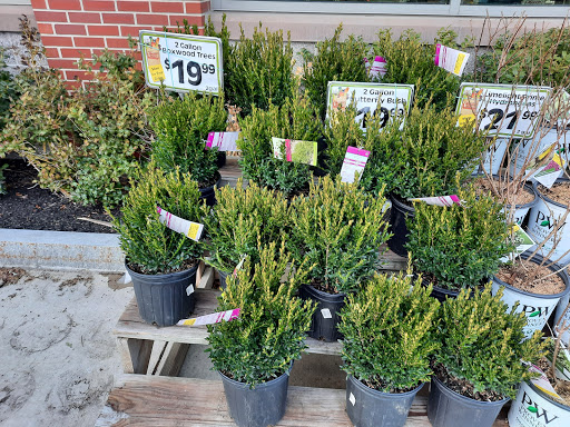 Grocery Store «Market Basket», reviews and photos, 301 Constitution Ave, Littleton, MA 01460, USA