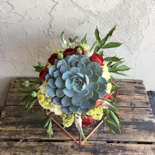 Wholesale Florist «Urban Jungle», reviews and photos, 2603 Sherman Ave NW, Washington, DC 20001, USA