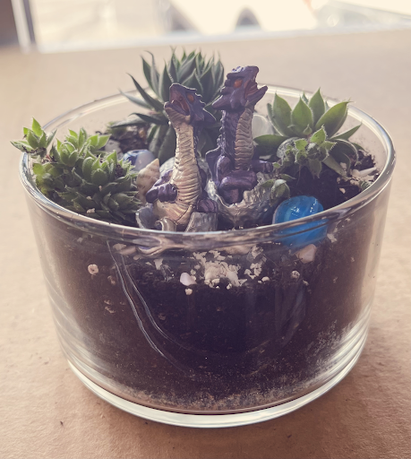 Video Game Store «Legacy Games», reviews and photos, 15086 Claret Ave W, Rosemount, MN 55068, USA