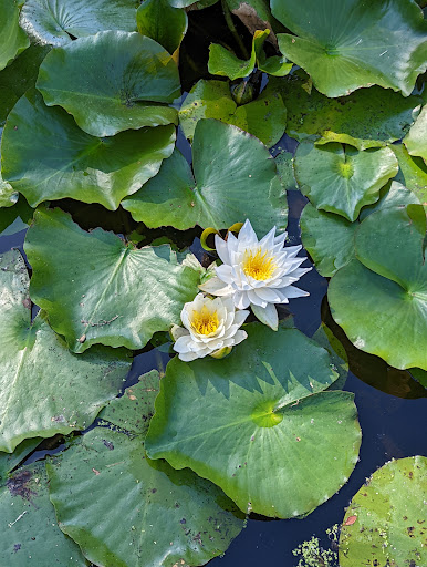 Park «Memorial Park», reviews and photos, 580 Valley St, Maplewood, NJ 07040, USA