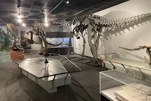 BYU Museum of Paleontology image