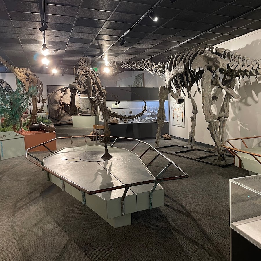 BYU Museum of Paleontology