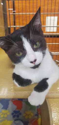 Pet Supply Store «PetSmart», reviews and photos, 300 N Congress Ave, Lake Park, FL 33403, USA