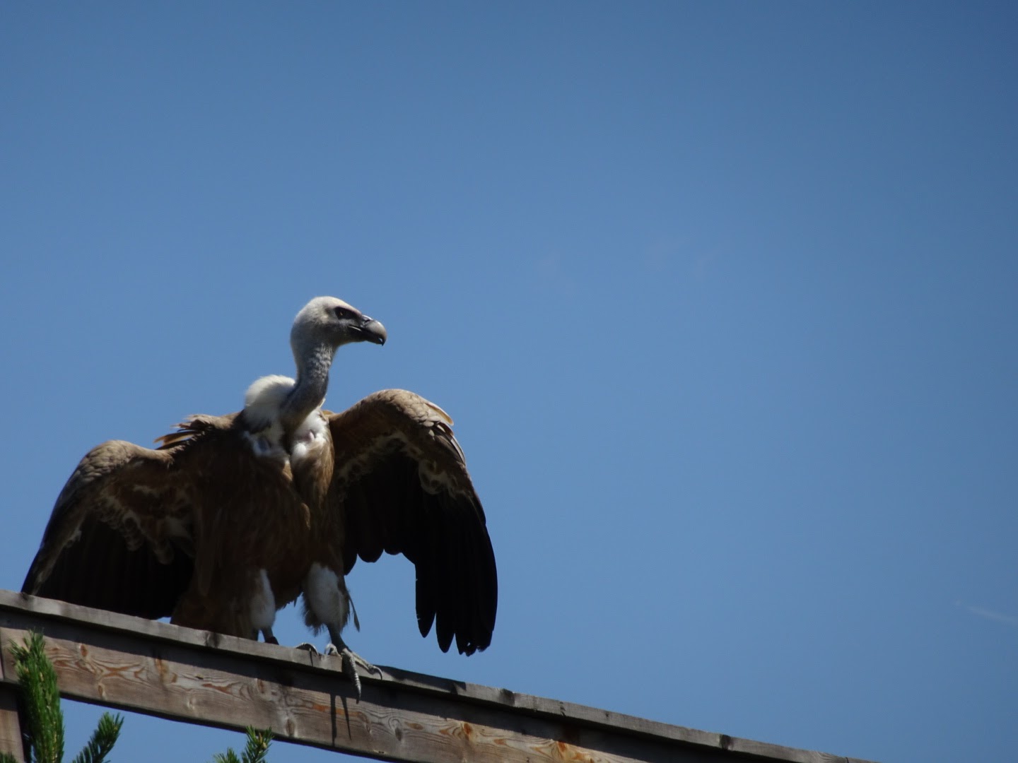 Photo n° 4 de l'avis de Romain.o fait le 17/08/2017 à 11:56