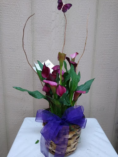 Florist «Joy Flower Shop», reviews and photos, 7630 Fair Oaks Blvd, Carmichael, CA 95608, USA