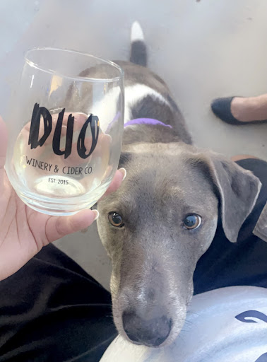 Winery «DUO Winery & Cider Co.», reviews and photos, 2150 Dickinson Ave, Dickinson, TX 77539, USA