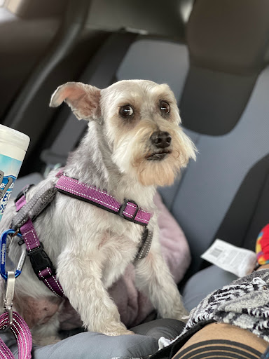 Pet Supply Store «PetSmart», reviews and photos, 4429 Pecanland Mall Dr, Monroe, LA 71203, USA