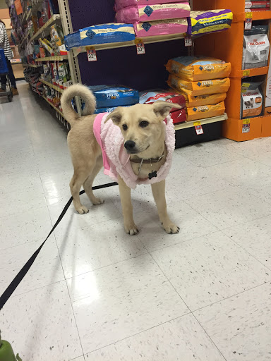 Pet Supply Store «PetSmart», reviews and photos, 3520 S El Camino Real, San Mateo, CA 94403, USA