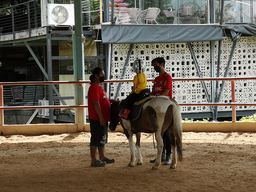 Horseback riding nearby Bangkok