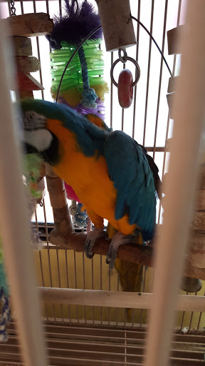 Pet Supply Store «Pets Plus», reviews and photos, 2286 Main St, Tewksbury, MA 01876, USA