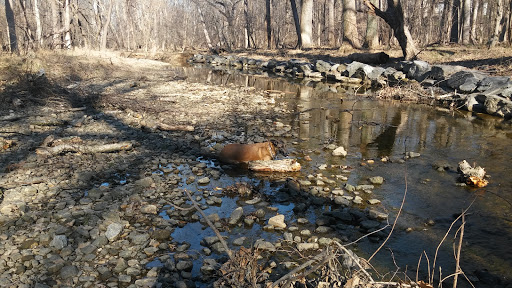 Park «Pilgrim Hill Local Park», reviews and photos, 1615 E Randolph Rd, Silver Spring, MD 20904, USA