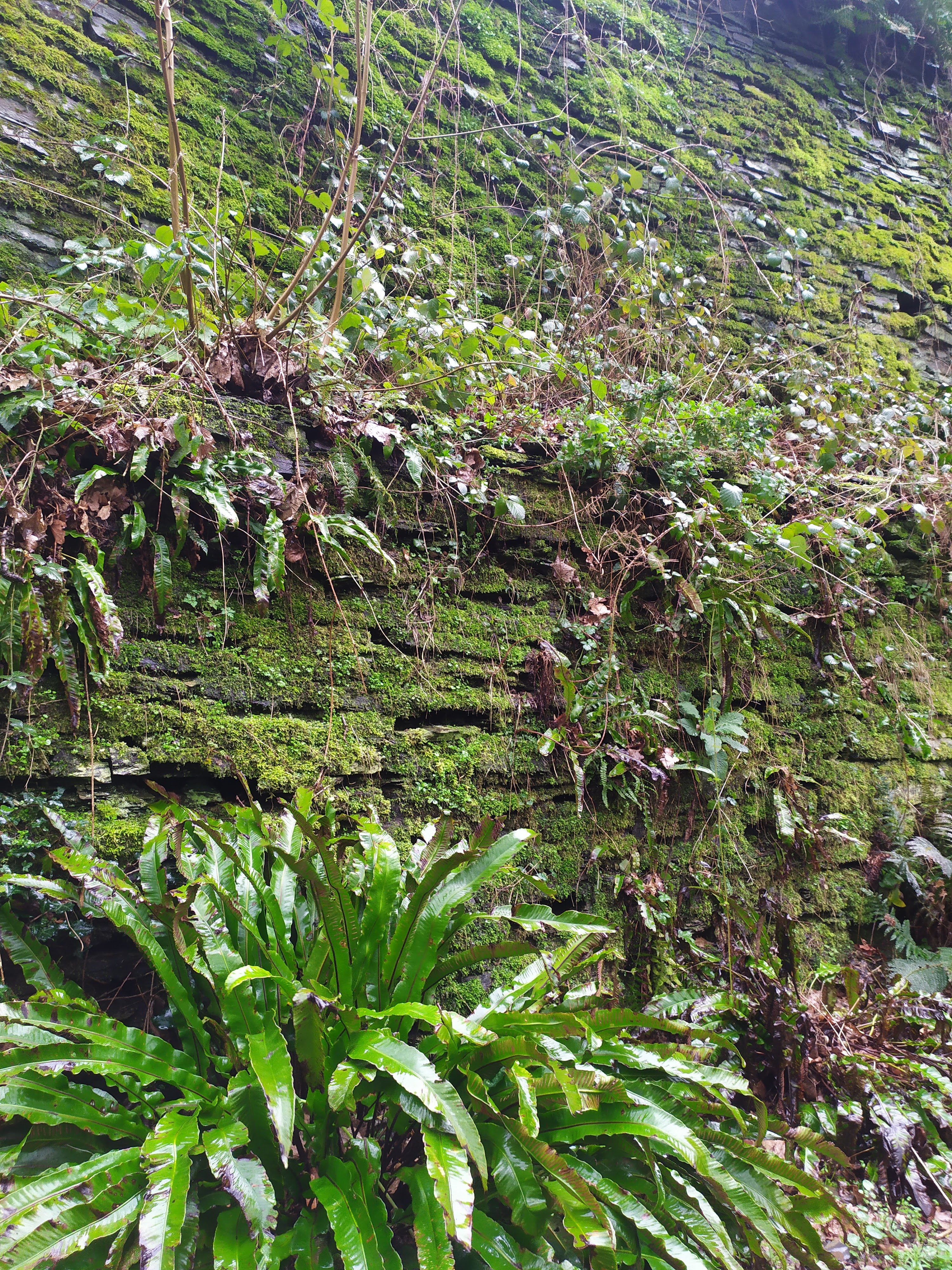 Photo n° 35 de l'avis de Céline.r fait le 20/02/2020 à 17:52