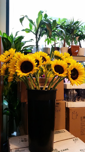 Florist «Fairview Park Florist», reviews and photos, 3141 Fairview Park Dr, Falls Church, VA 22042, USA