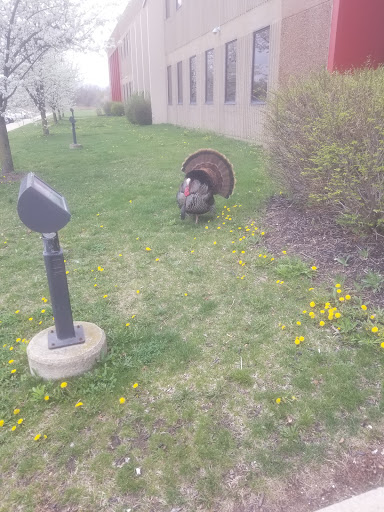 Appliance Parts Supplier «RepairClinic.com», reviews and photos, 48600 Michigan Ave, Canton, MI 48188, USA