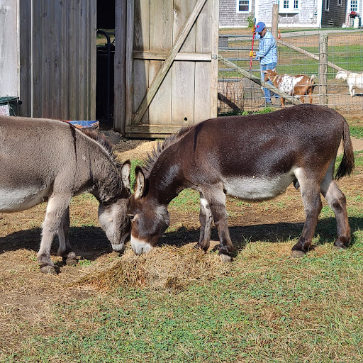  «Mt Hope Farm», reviews and photos, 250 Metacom Ave, Bristol, RI 02809, USA