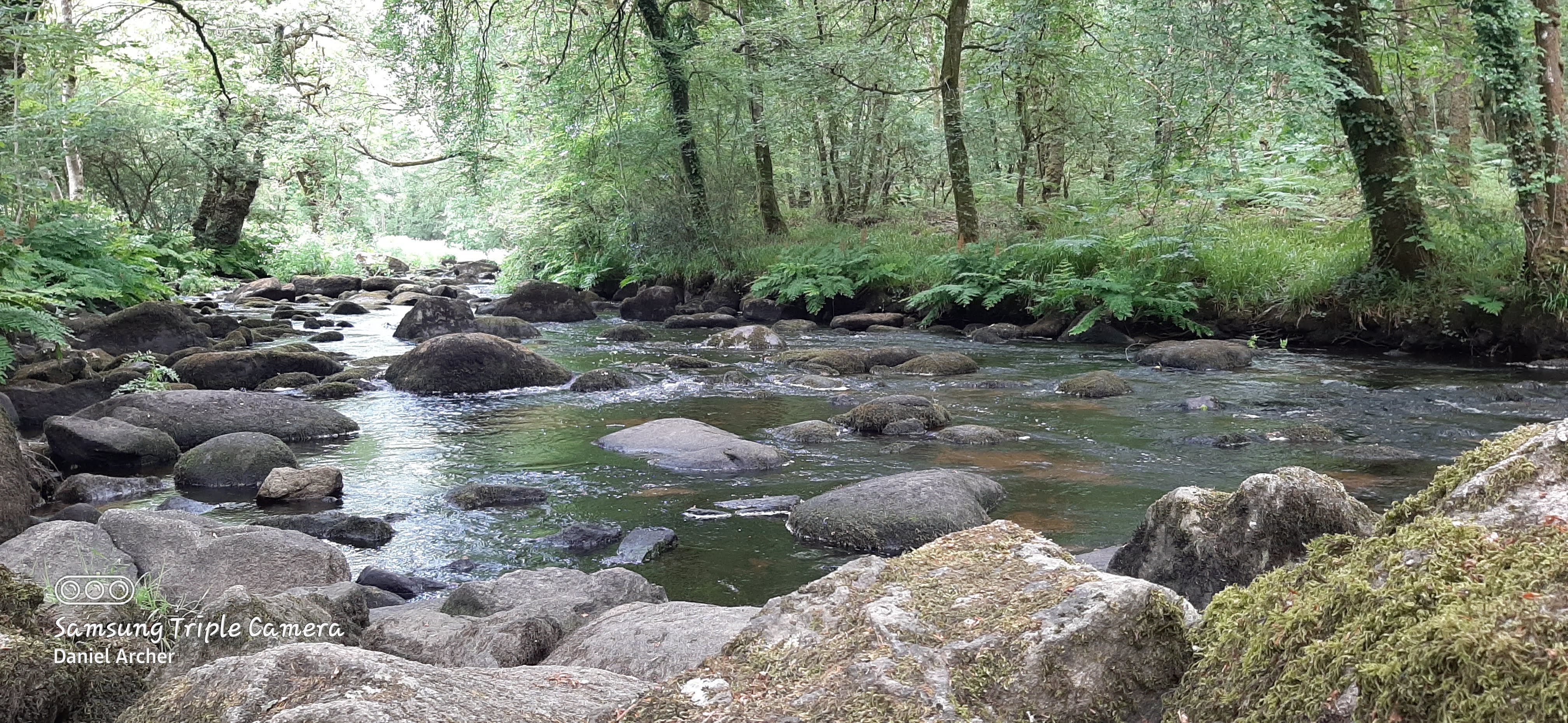 Photo n° 4 de l'avis de Yo.a fait le 15/07/2023 à 16:59