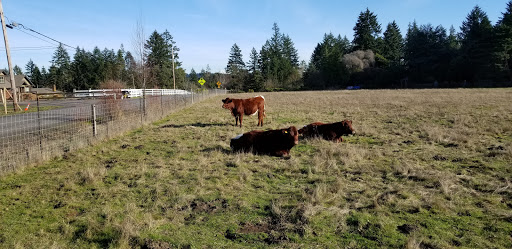 Grocery Store «Our Table Cooperative», reviews and photos, 13390 SW Morgan Rd, Sherwood, OR 97140, USA