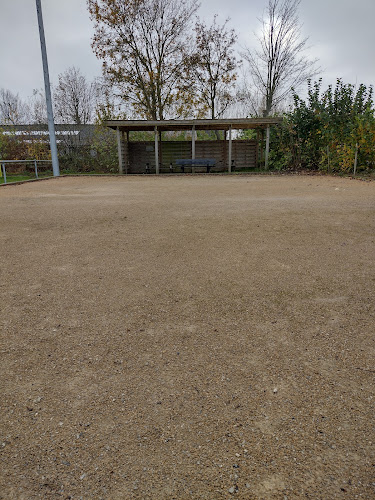Sportpark 't Veld (Stad Damme) - Sportcomplex