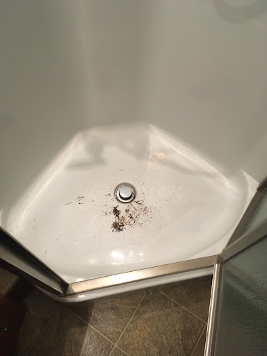 RV Repair Shop «Lafayette Auto Body & RV Repair», reviews and photos, 204 3rd St, Lafayette, OR 97127, USA