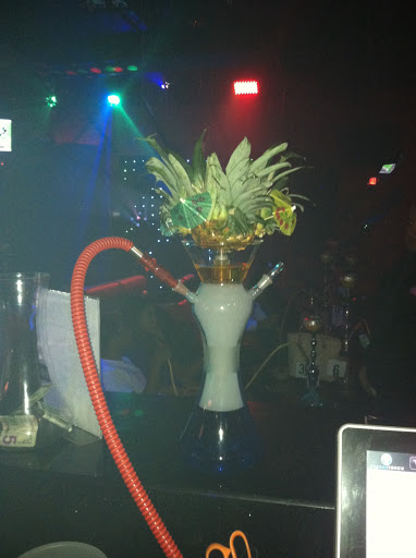 Hookah Bar «exotic hookah bar», reviews and photos, 49662 Van Dyke, Shelby Charter Township, MI 48317, USA