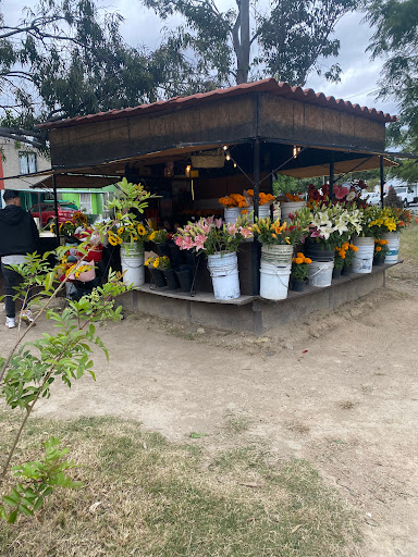 Ecoflor floristería profesional florería en  en la zona Villas de Zapopan
