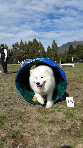 Reviews of Wakatipu Dog Agility Club in Queenstown - Parking garage