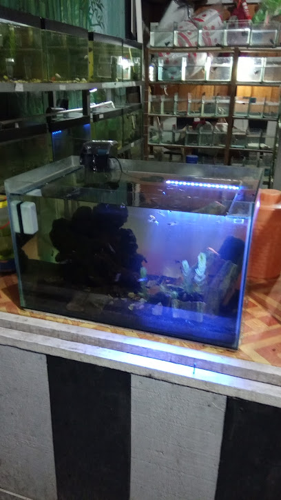 Warung Aquafish