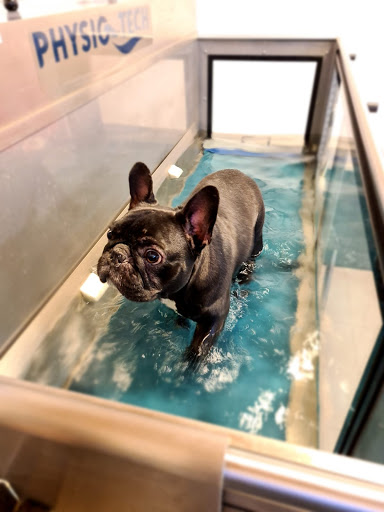 Tierphysiotherapie Melanie Meixner unter Neubulach, Baden Württemberg