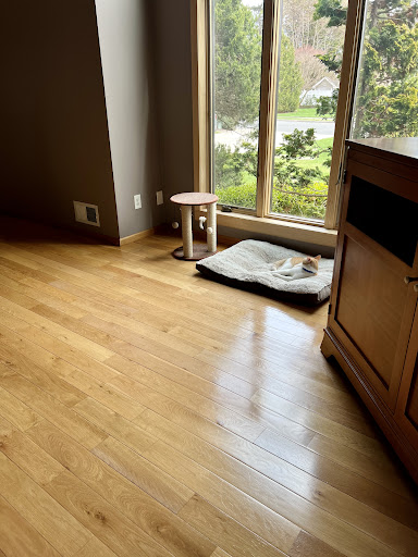 Carpet Cleaning Service «Allaire Chem-Dry», reviews and photos, 1727 NJ-34, Wall Township, NJ 07727, USA