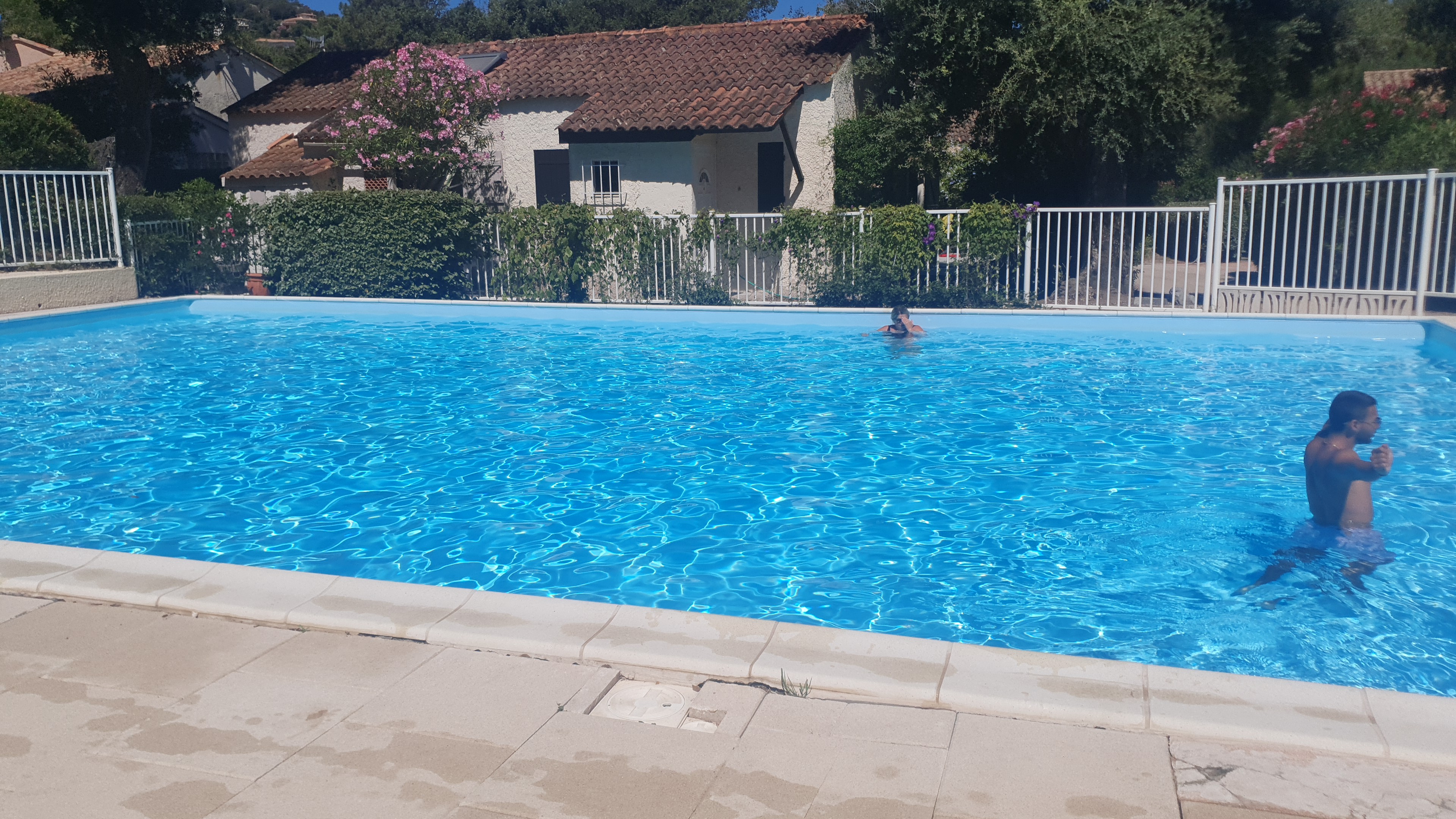 Photo n° 2 de l'avis de Tanguy.o fait le 31/07/2023 à 10:34