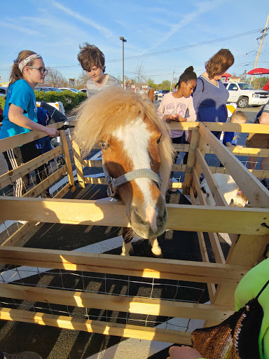 Fast Food Restaurant «Chick-fil-A», reviews and photos, 6203 N Illinois St, Fairview Heights, IL 62208, USA