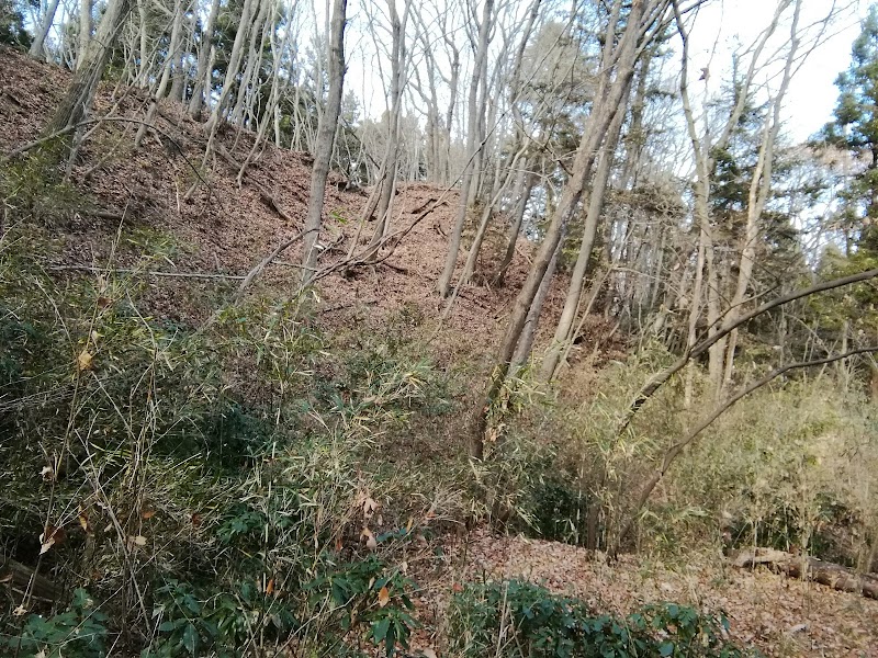 白川城跡搦目山地区