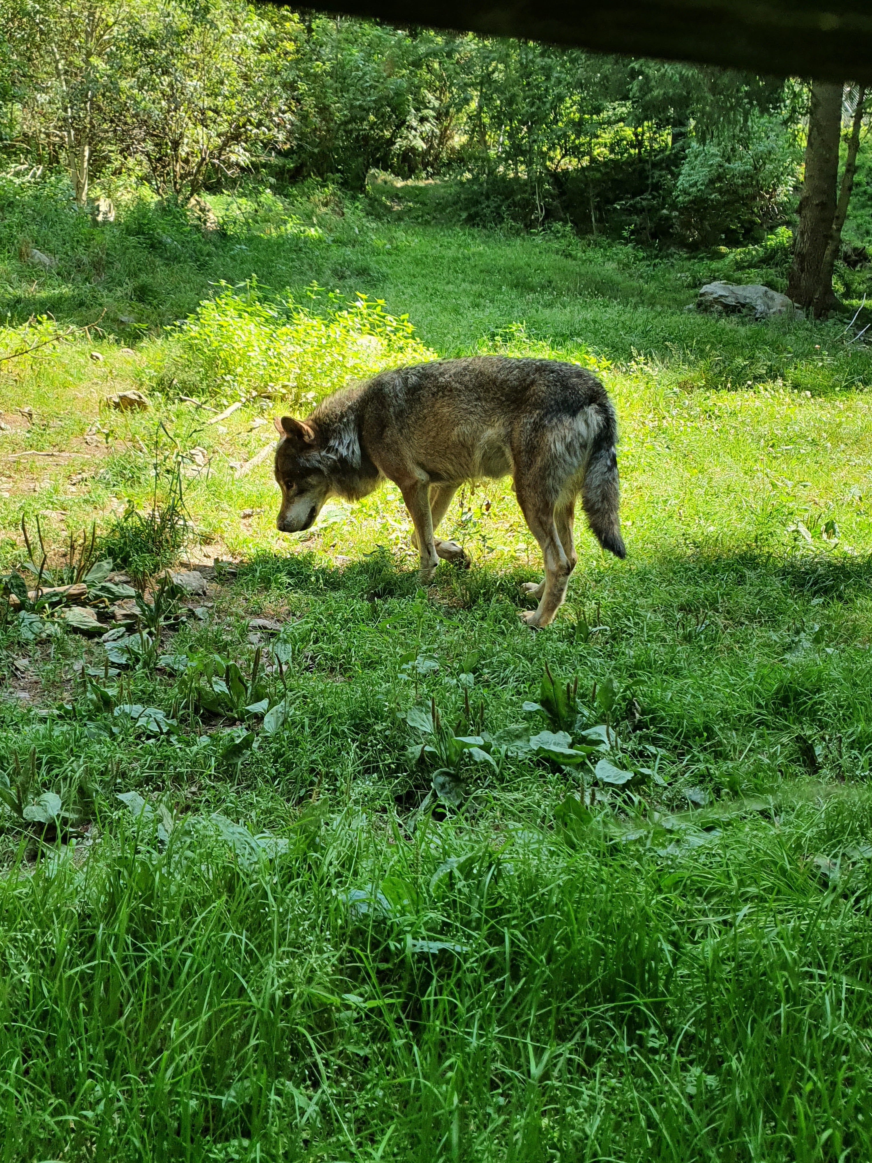 Photo n° 3 de l'avis de Pierre. fait le 21/08/2020 à 13:12