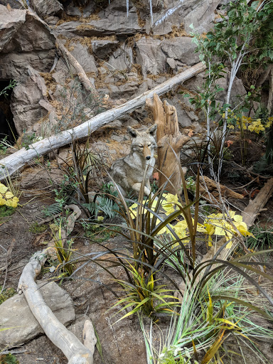 Outdoor Sports Store «Field & Stream», reviews and photos, 1501 Sentinel Dr Ste B, Chesapeake, VA 23320, USA