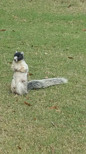 Golf Course «Highland Oaks Golf Course», reviews and photos, 904 Royal Pkwy, Dothan, AL 36305, USA