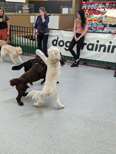 Pet Food Express image
