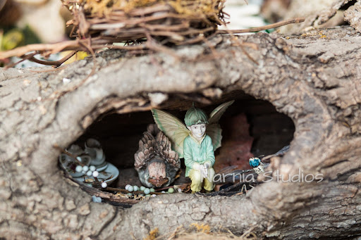 Florist «Narnia Studios», reviews and photos, 315 N Main St, Hendersonville, NC 28792, USA