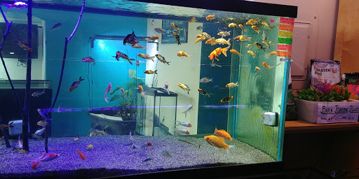 Tropical Fish Store «America Aquaria», reviews and photos, 3485 N 124th St, Brookfield, WI 53005, USA