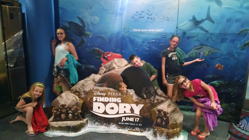 Movie Theater «Rave Motion Pictures Milford 16», reviews and photos, 500 Rivers Edge Dr, Milford, OH 45150, USA