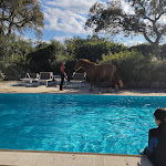 Photo n°18 de l'avis de Deborah. fait le 24/04/2023 à 07:25 sur le  Borgo di Campagna à La Castagna, Loiri Porto San Paolo