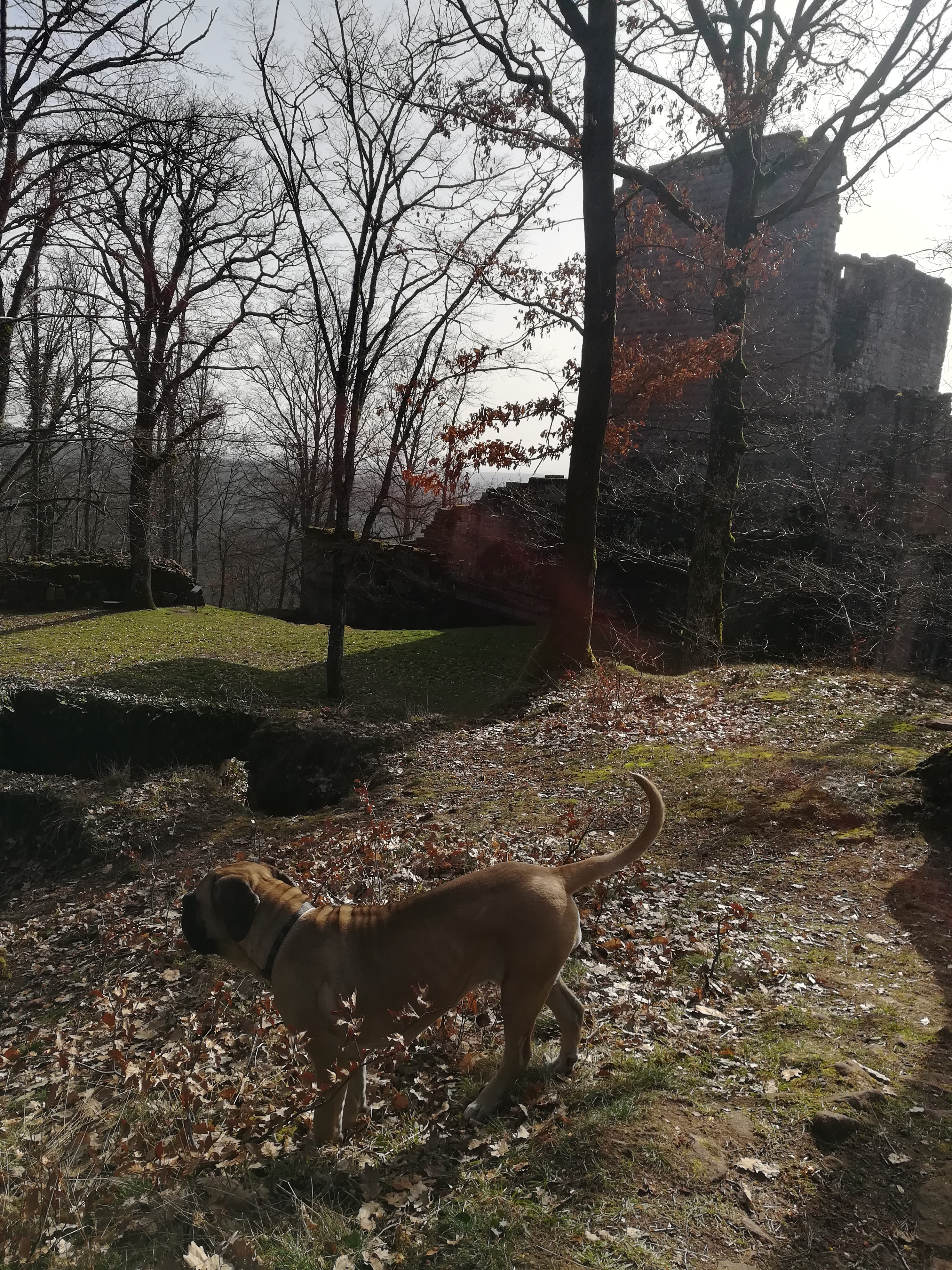 Photo n° 1 de l'avis de Virginie.i fait le 24/02/2021 à 18:12