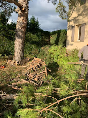 JCD Environnement à Sorgues