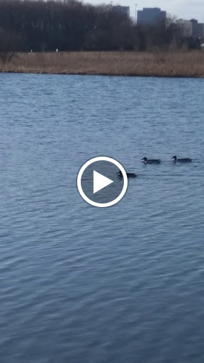 Recreation Center «Weber Leisure Center», reviews and photos, 9300 Weber Park Pl, Skokie, IL 60077, USA