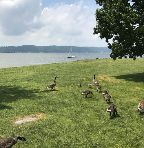 Park «Matthiessen Park», reviews and photos, 1 Bridge St, Irvington, NY 10533, USA